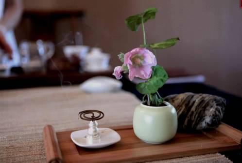 四十不惑遇见你,邂逅爱情的甜蜜奇遇